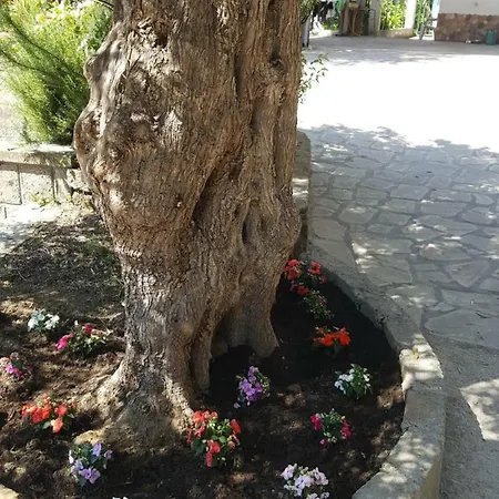 La Scaletta