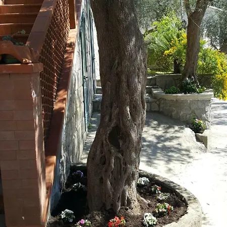 La Scaletta *